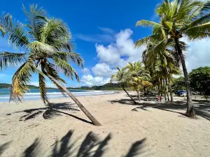 Punto Playa Carrillo