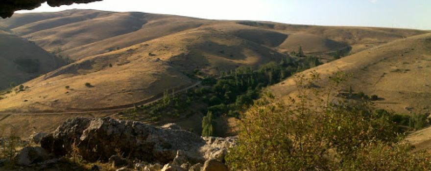 AVDOLARIN BAHÇESİ