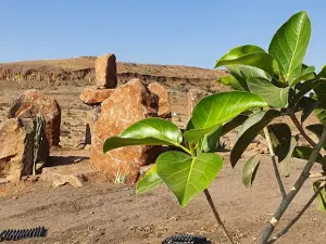 Sahyadri Devrai