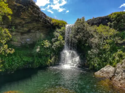 Cobham Nature Reserve