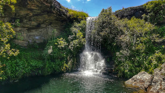 Cobham Nature Reserve