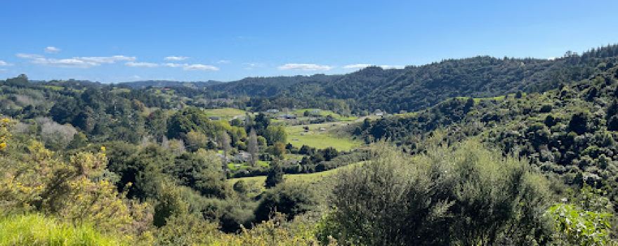 Puhoi Lookout Track