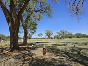 Hillcrest Dog Park