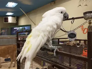 Big Red's Barn Indoor Animal Experience and Education