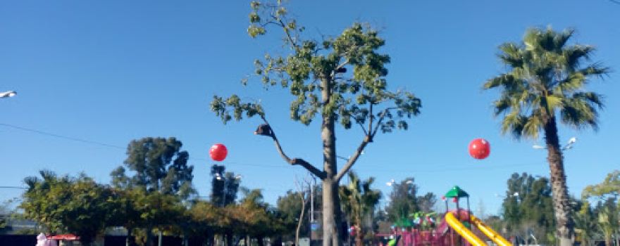 Plaza de las Americas