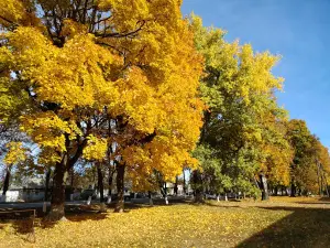 Городской Парк