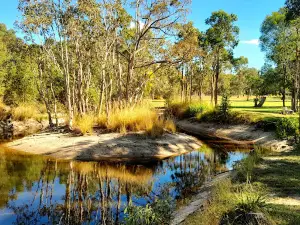 Paperbark Bush Camp