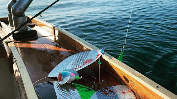 Sheboygan Charter Fishing - Playin' Hooky Charters