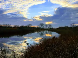 Gene Howe Wildlife Management Area