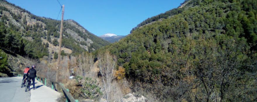 Camping La Molineta