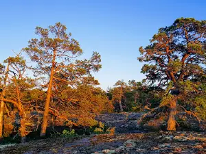 Djupviksgrottan