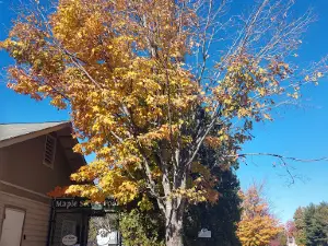 Maple Street Park and Pool