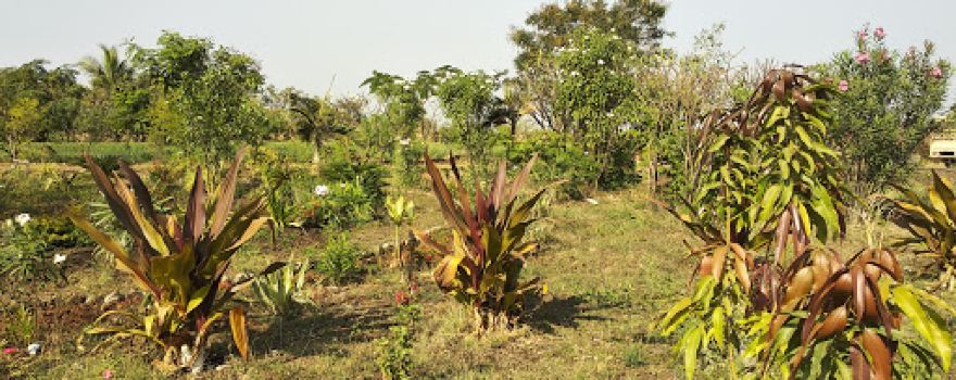 Ramkrishna Mission ashram