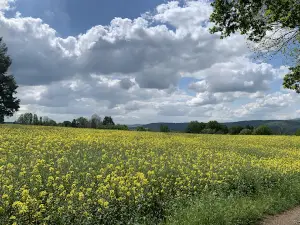 Camping Oase Wahlhausen