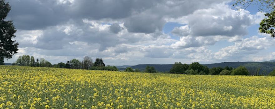 Camping Oase Wahlhausen