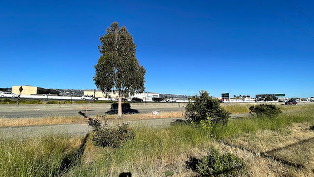 Tom Bates Regional Sports Complex