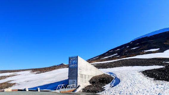 Longyearbyen Guiding AS