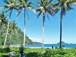 Wisata Pantai Teluk Paku