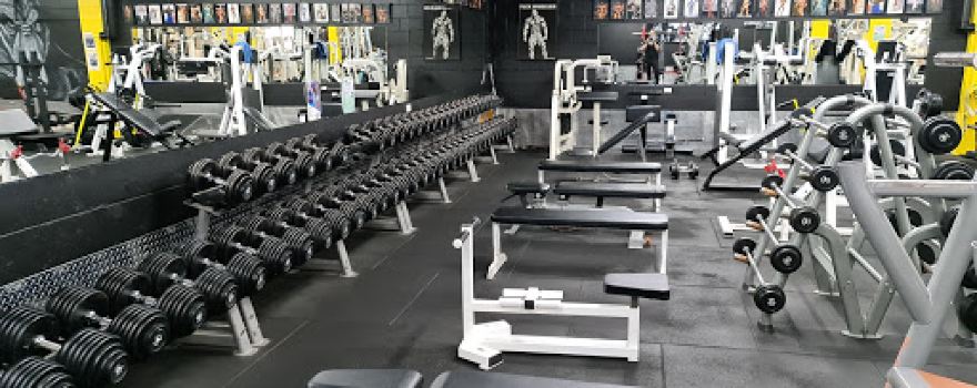 Australian Muscle The Gym 24/7