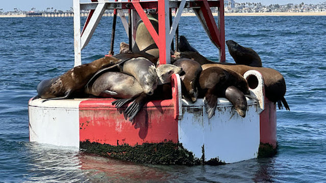 Newport Coastal Adventure