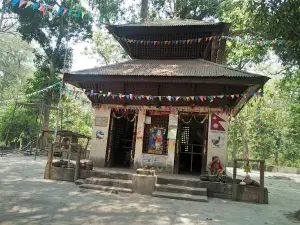 Valmiki Tiger Reserve