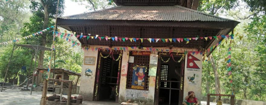 Valmiki Tiger Reserve