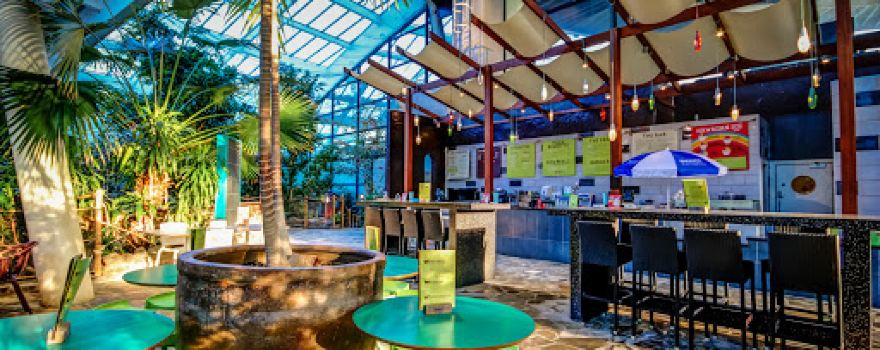 Subtropical Swimming Paradise