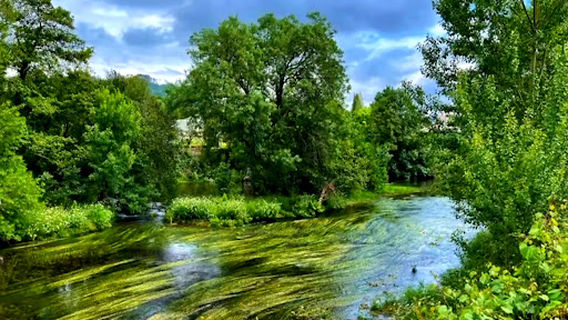 Jardins da Alameda de Arcos de Valdevez