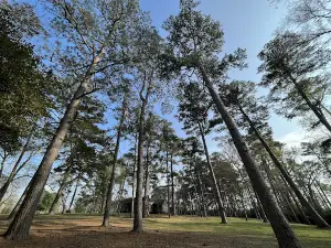 Jim Hogg Park