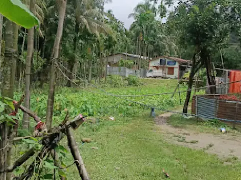 Nehru Statue Pailapool