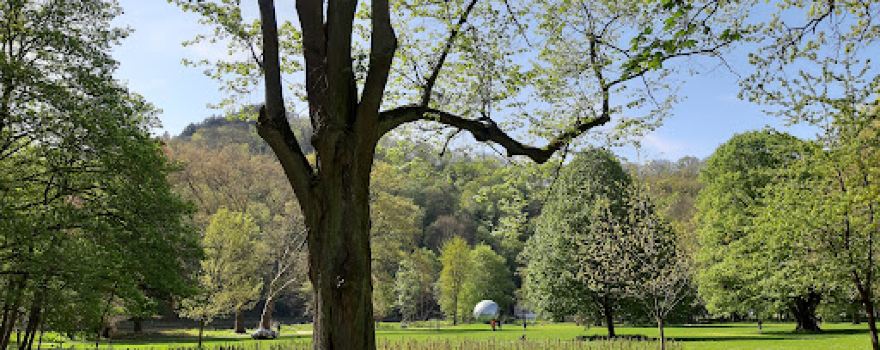 Parc Hauster