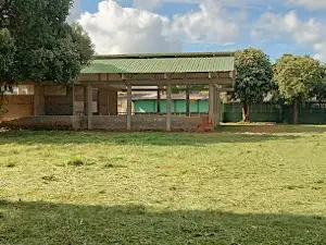 Pelaya cesar colombia