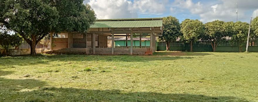 Pelaya cesar colombia
