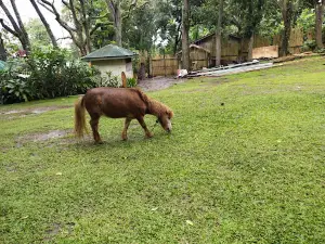 MANTIANAK TREE PARK