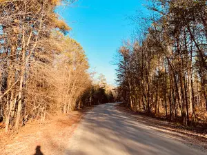 Cumberland State Forest