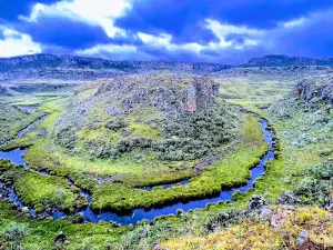 Bale Mountains Homestay (Dinsho)