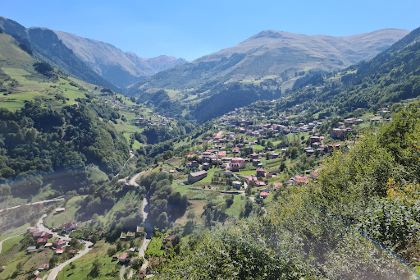 Hamsiköy NİYAZİ USTA