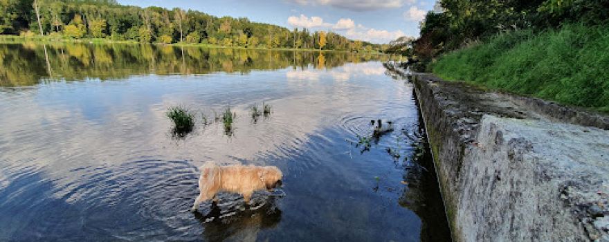 Donaualtarm Altenwörth