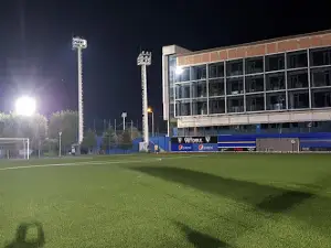 Stadionul Viitorul