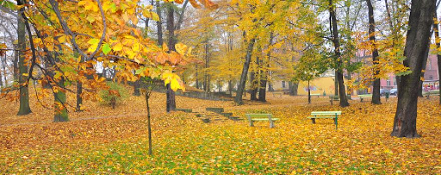 Park Zamkowy