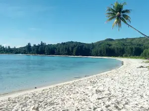 Jiku Merasa