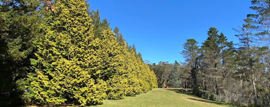 Breenhold Gardens