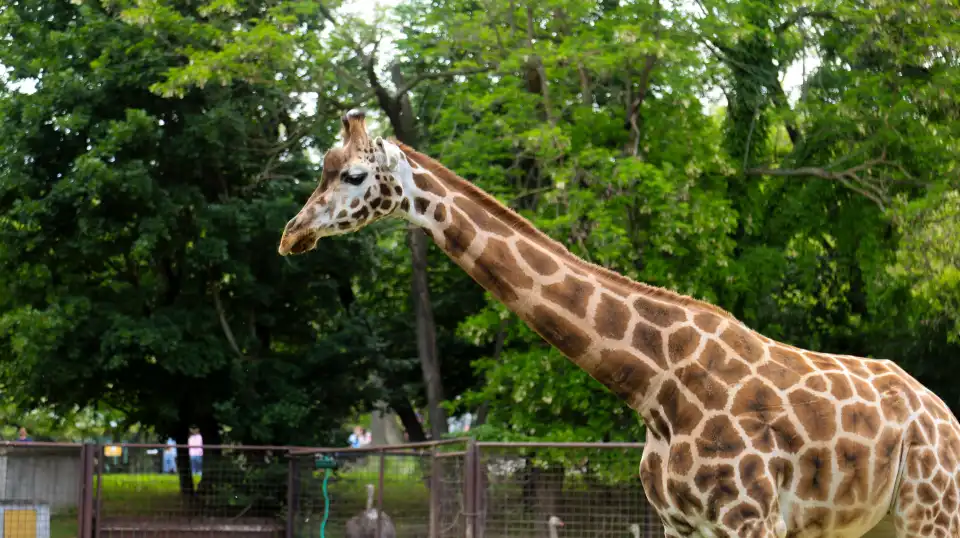 3_Zoo Bratislava