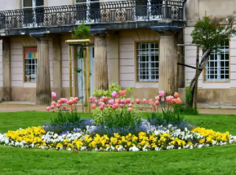 กิจกรรมในฤดูใบไม้ผลิยอดนิยมในเดรสเดิน