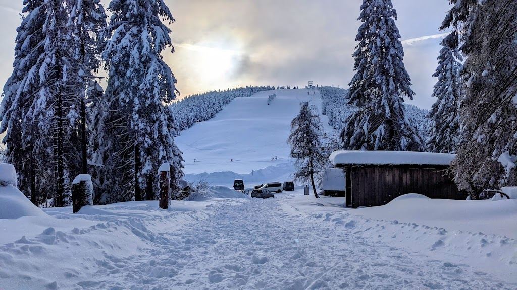 Skilift Seibelseckle