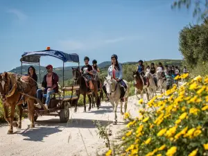 Finikia Horseriding
