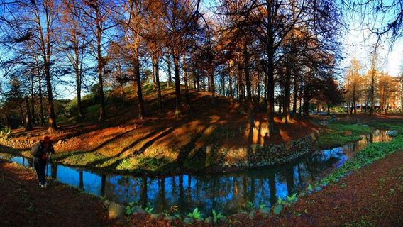 Pillow Mountain Forest Park