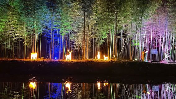 Wudao · Hanxian Rock Landscape Live Light and Shadow Show