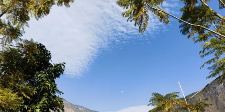 百花嶺生態樂園