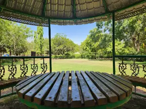 Race Course Garden